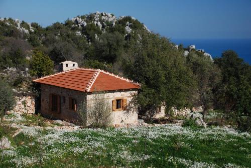 a small house in a field of flowers at Hoyran Wedre Country Houses in Davazlar
