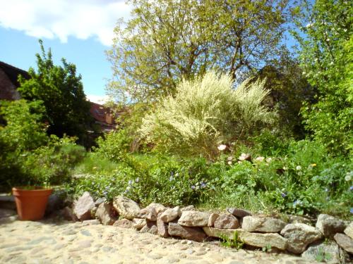 een tuin met een stenen muur en planten bij Ferienhaus St. Johannis in Werben