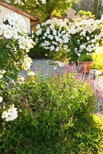 a garden with white flowers in a yard at Monsignor Della Casa Country Resort & Spa in Borgo San Lorenzo
