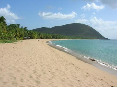 a sandy beach with a mountain in the background at Fleurs des Iles in Deshaies