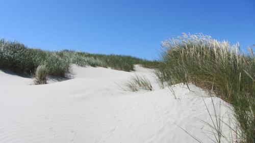 a couple of sand dunes with grass on top of it at Steiner Strandappartements Appartement 202 Seeseite in Stein