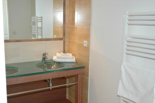 a bathroom with a sink and a mirror at Madame Vacances Les Appartements de Fontenelles in LʼAiguillon-sur-Vie