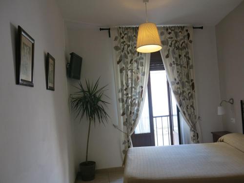 a bedroom with a bed and a window with a plant at Hostal Fenix in Jerez de la Frontera