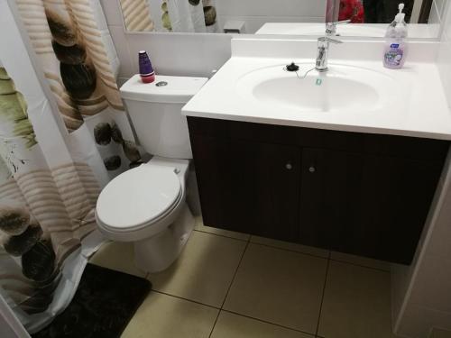 La salle de bains est pourvue de toilettes blanches et d'un lavabo. dans l'établissement Departamento santiago, à Santiago