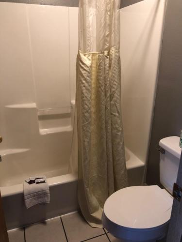 a bathroom with a shower curtain and a toilet at Sumner Motor Inn in Sumner
