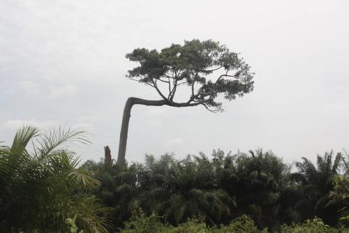 Paisaje cerca de este bed & breakfast