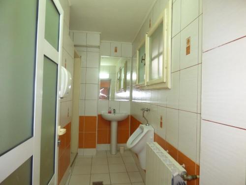 a bathroom with a sink and a urinal and a toilet at Gura Padurii in Sinaia