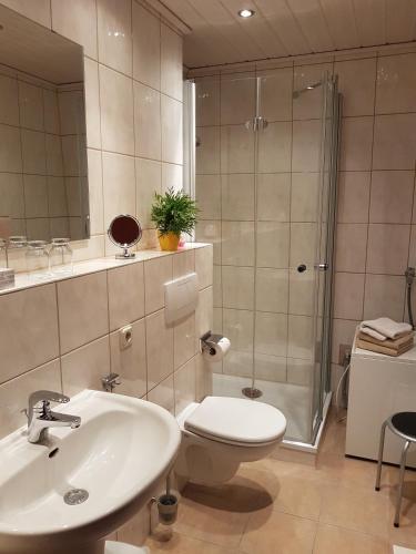 a bathroom with a toilet and a sink and a shower at Harzburger Ferienwohnung in Bad Harzburg