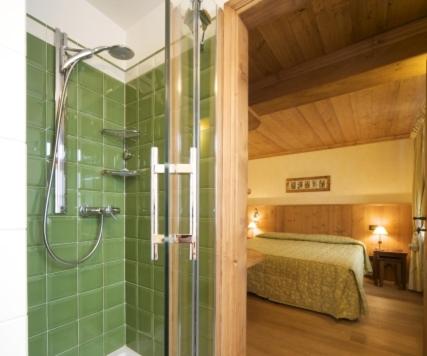 a bathroom with a shower and a bed in a room at Hotel Dente Del Gigante in Courmayeur