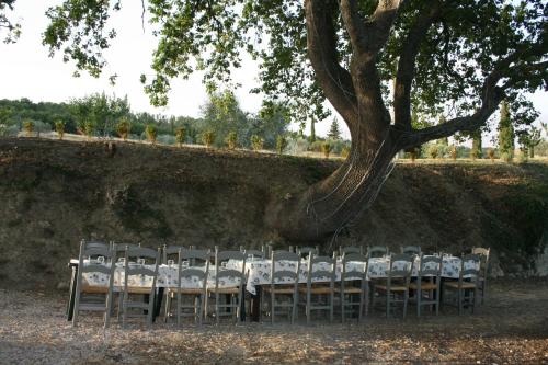 eine Gruppe von Tischen und Stühlen unter einem Baum in der Unterkunft Agriturismo Escaia in Volterra