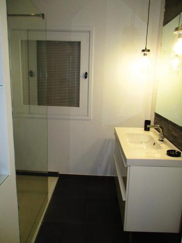 une salle de bain avec un lavabo et une douche en verre dans l'établissement Carnot Chic, à Carcassonne