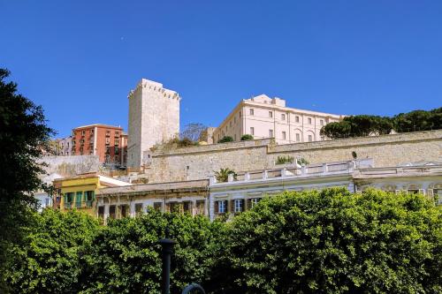 Dome – Photos 5
