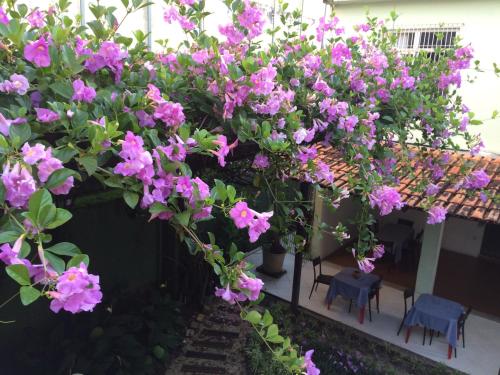 a bunch of pink flowers hanging from a building at Ecopousada Miriti in Belém
