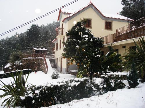 a house with a christmas tree in the snow at Casa de São Sebastião in Manteigas