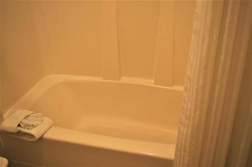 a bathroom with a bath tub with a shower curtain at GuestHouse Inn Enumclaw in Enumclaw