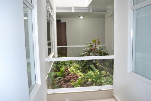 a window with a garden inside of it at Hotel Grand Premium Plaza in Pitalito