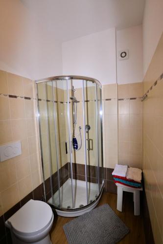 a bathroom with a shower and a toilet at Affittacamere Lidiya in Bologna