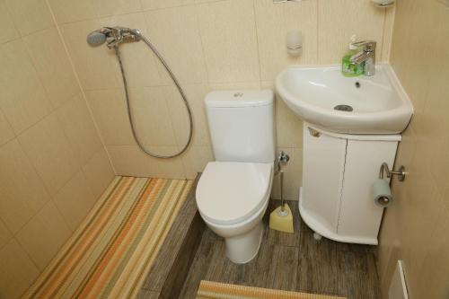 カリーニングラードにあるУютные апартаменты у Верхнего озераの小さなバスルーム(トイレ、シンク付)