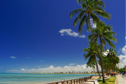 a beach with palm trees and the ocean at Ritz Suites Grand Hotel Boutique in Maceió