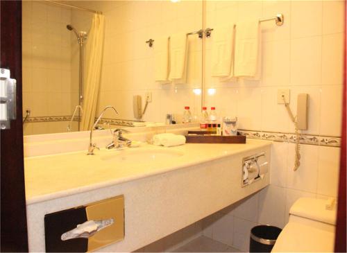 a bathroom with a sink and a mirror and a toilet at Jinjiang Fuyuan Hotel in Daxing