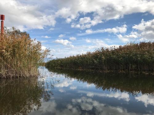 a river with a reflection of the sky in the water at Apartments FLORA and boat cruising in Virpazar