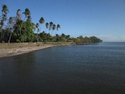 a beach with palm trees and a body of water at Hostal La Cascada San Ramón in Mérida