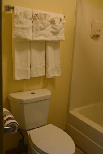 La salle de bains est pourvue de toilettes blanches et de serviettes. dans l'établissement Southern Inn Lumberton, à Lumberton