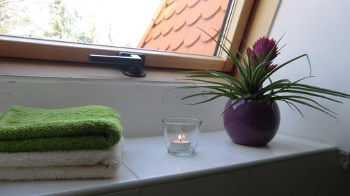 a candle and a potted plant on a window sill at Gästehaus Stein in Nemesbükk