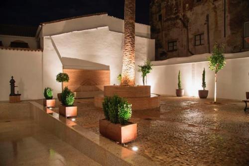 a courtyard with potted plants in front of a building at Casa Palacio Muñoz Chaves in Cáceres