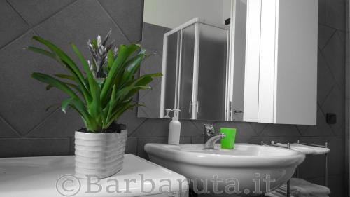 a bathroom with a sink and a plant in a vase at Barbaruta RTA in Grosseto