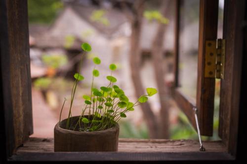 a plant in a pot sitting on a window sill at Rural House in Yangshuo