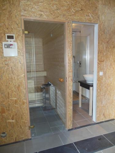 a bathroom with a shower and a sink at Apartment 't Zwaluwnest Luttenberg in Luttenberg