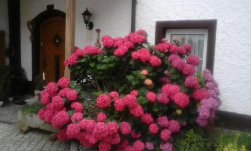 a bunch of pink flowers on the side of a building at Eselgut Pühringer in Hofkirchen im Mühlkreise