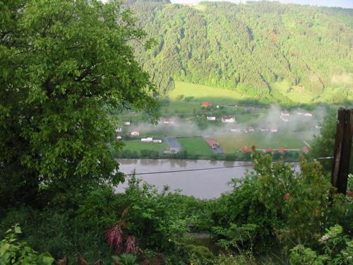 a view of a river with trees and a mountain at Eselgut Pühringer in Hofkirchen im Mühlkreise
