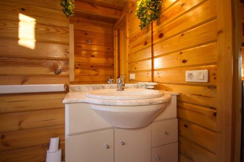 a bathroom with a sink in a wooden room at Casa Campelinos in Dumbría