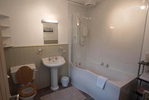 a bathroom with a sink and a toilet and a bath tub at Elibank House Apartment in Walkerburn
