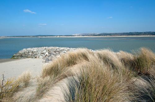 a beach with tall grass next to a body of water at Le Grand Hôtel Le Touquet-Paris-Plage in Le Touquet-Paris-Plage