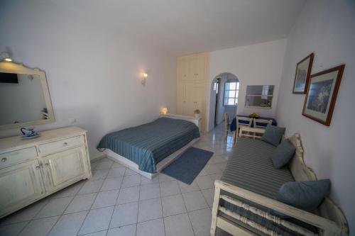 a bedroom with a bed and a tv and a couch at Ianthe Apartments & Villa in Oia