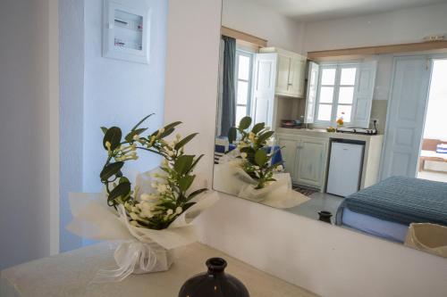a room with a mirror and a vase with flowers at Ianthe Apartments & Villa in Oia