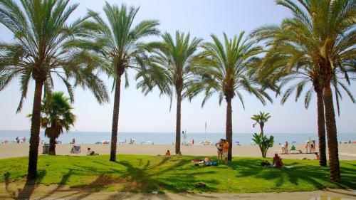 iloftmalaga Reding
