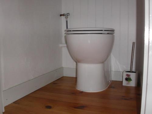 a white toilet in a bathroom with a wooden floor at Gite Deux-Eaux in Saint-Martial
