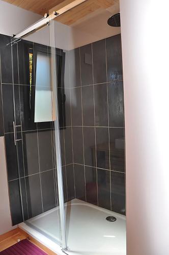 une douche avec une porte vitrée dans une salle de bain dans l'établissement Eco-gîte de Tit'âne, à Gignac