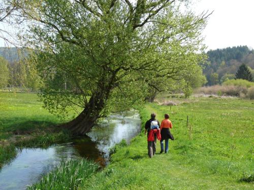 two people walking down a path next to a river at Blick zum Maimont in Ludwigswinkel