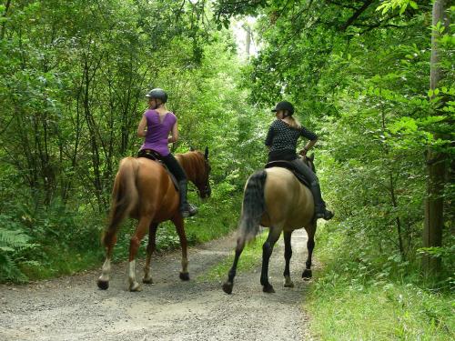 two women riding horses on a dirt road at Blick zum Maimont in Ludwigswinkel