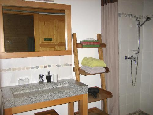 La salle de bains est pourvue d'un lavabo, d'un miroir et d'une douche. dans l'établissement Chambres d'Hôtes la Pierre d'Oran, à LʼArgentière-la-Bessée