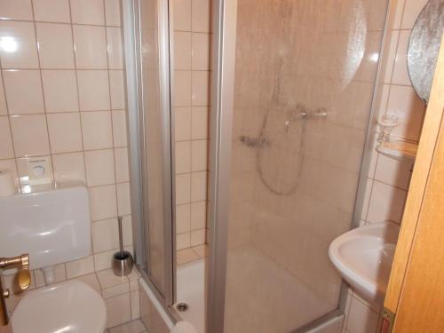 W łazience znajduje się prysznic, toaleta i umywalka. w obiekcie Blick zum Maimont w mieście Ludwigswinkel