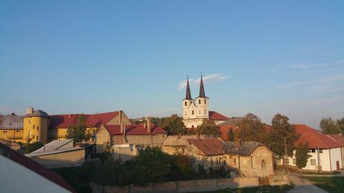 vistas a una ciudad con iglesia y edificios en Penzion Gapa en Šahy