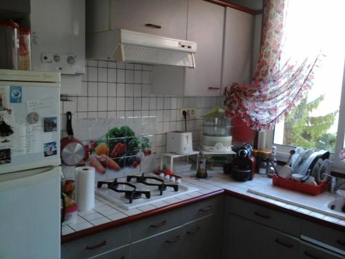une cuisine avec une cuisinière et un réfrigérateur dans l'établissement Residence Privée, à Nice
