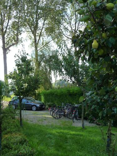 Сад в B&B Le Coquin