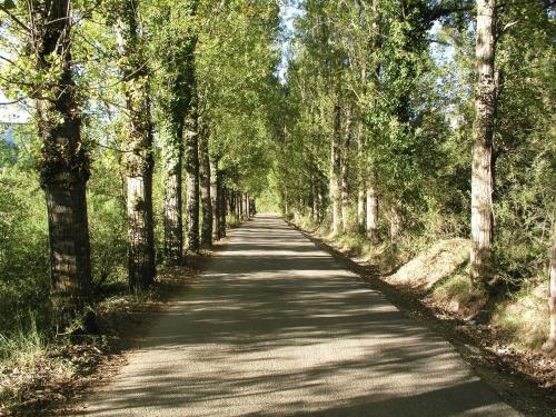 a long road with trees on both sides at Hotel Rural Convento Santa Maria de la Sierra in Arroyo Frio